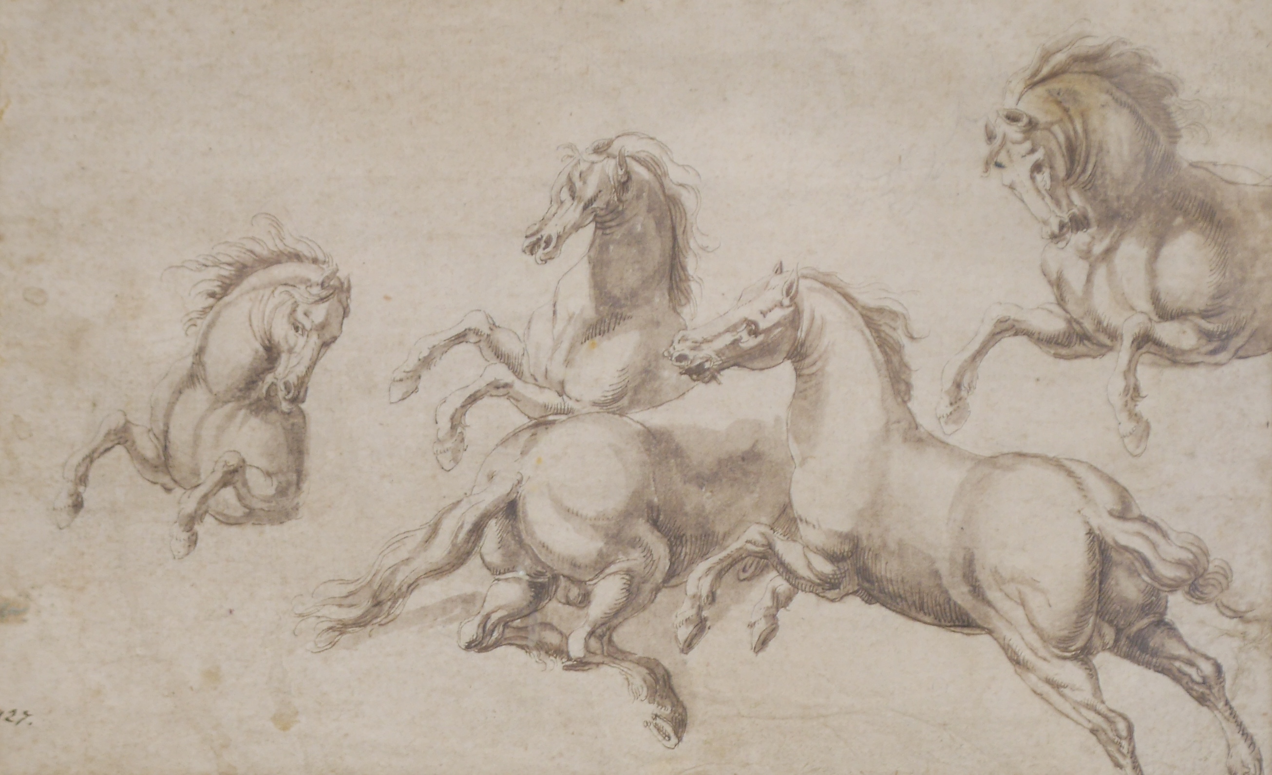 Late 17th century Old Master, ink and wash on buff paper, Studies of horses, partial inscription lower left obscured by the mount, 16 x 25cm. Condition - fair